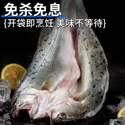 新鲜海捕野生鲈鱼七星鲈鱼鲜活宰杀开背免处理蒜瓣肉顺丰包邮批发