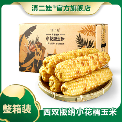 滇二娃西双版纳香糯小玉米云南特产新鲜糯玉米黏真空即食玉米棒