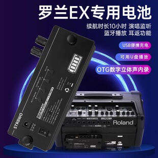 罗兰EX音箱户外锂电池带蓝牙OTG内录监听USB接口电源适配器