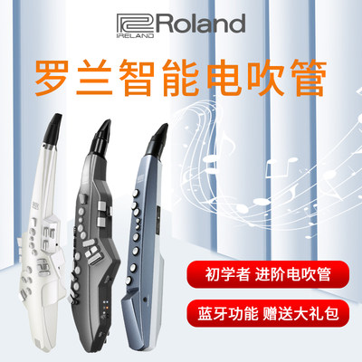 罗兰rolandae01电吹管