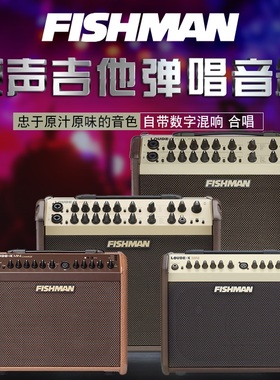 渔夫FISHMAN LOUDBOX MINI Artist原声民谣指弹吉他音箱弹唱音响