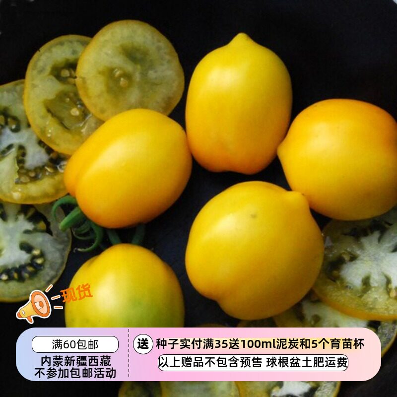 【种子】传家宝种子 适合盆栽 小西红柿 番茄 柠檬梅子 5粒