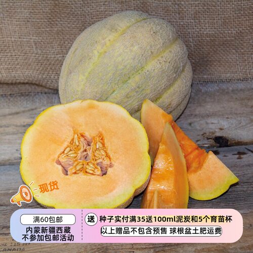甜瓜威斯康星周的荣耀