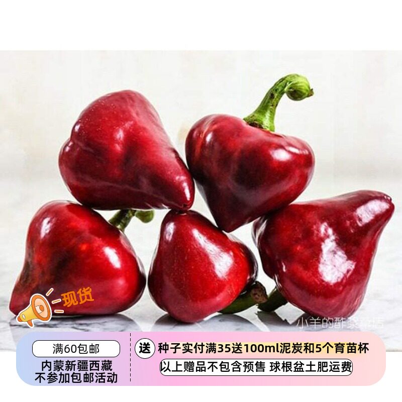 疯狂的小羊乐夏甜椒肉厚图片