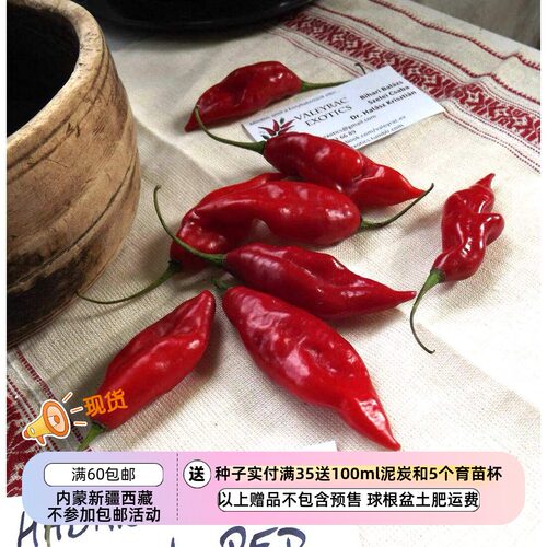 疯狂的小羊夏季结果哈瓦那辣椒
