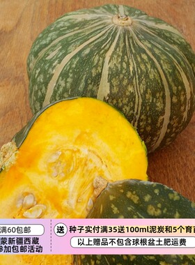 【种子】传家宝  口感顺滑 甜味浓郁  阿波基尼明克 奶酪南瓜 3粒