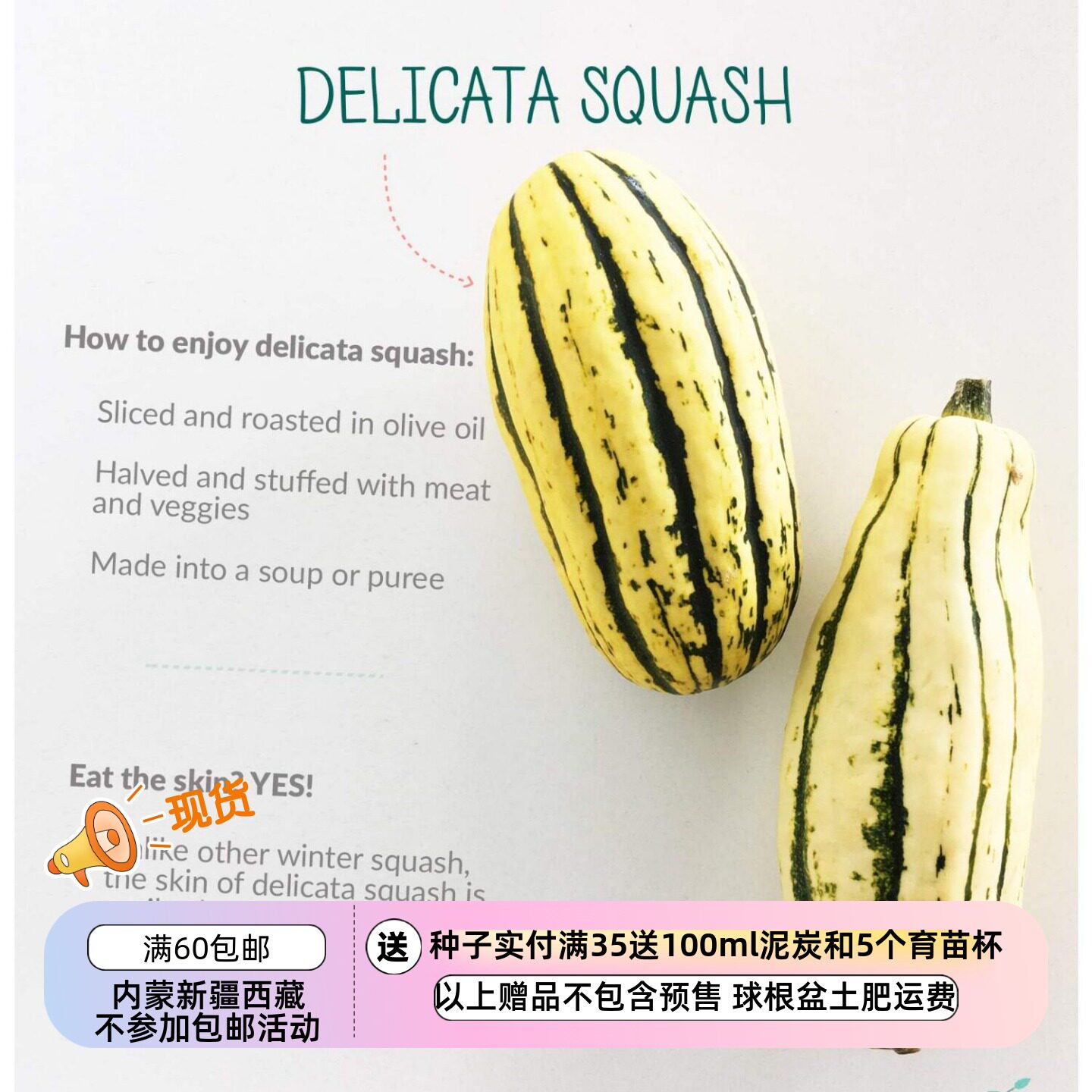【种子】超-甜坚果味儿 红薯南瓜 德利卡塔 Delocata 5粒