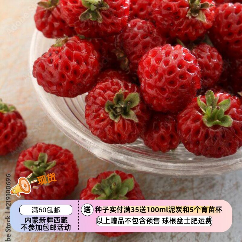 超级松莓红树莓草莓。。。