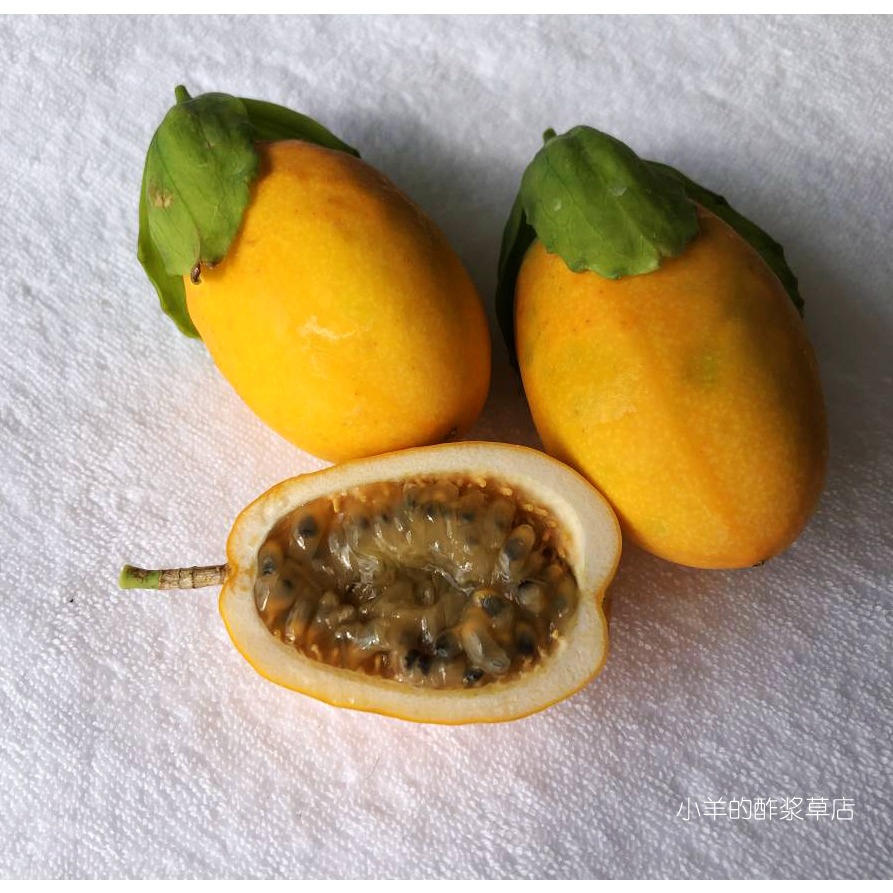 疯狂的小羊冲绳水柠檬