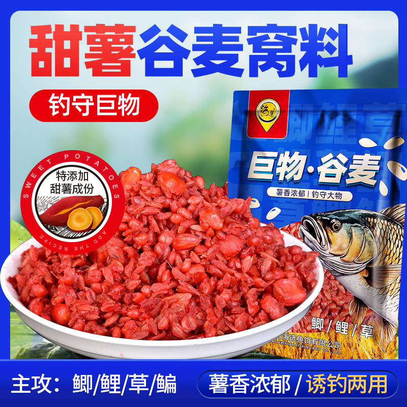 海选甜薯谷麦窝料玉米五谷杂粮夏季野钓打窝鲫鱼鲤草鱼专用打窝料,户外/登山/野营/旅行用品,活饵/谷麦饵等饵料,淘宝优惠券,粉丝福利购,淘宝优惠卷
