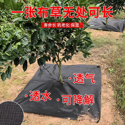 防草布透水透气农用除草布