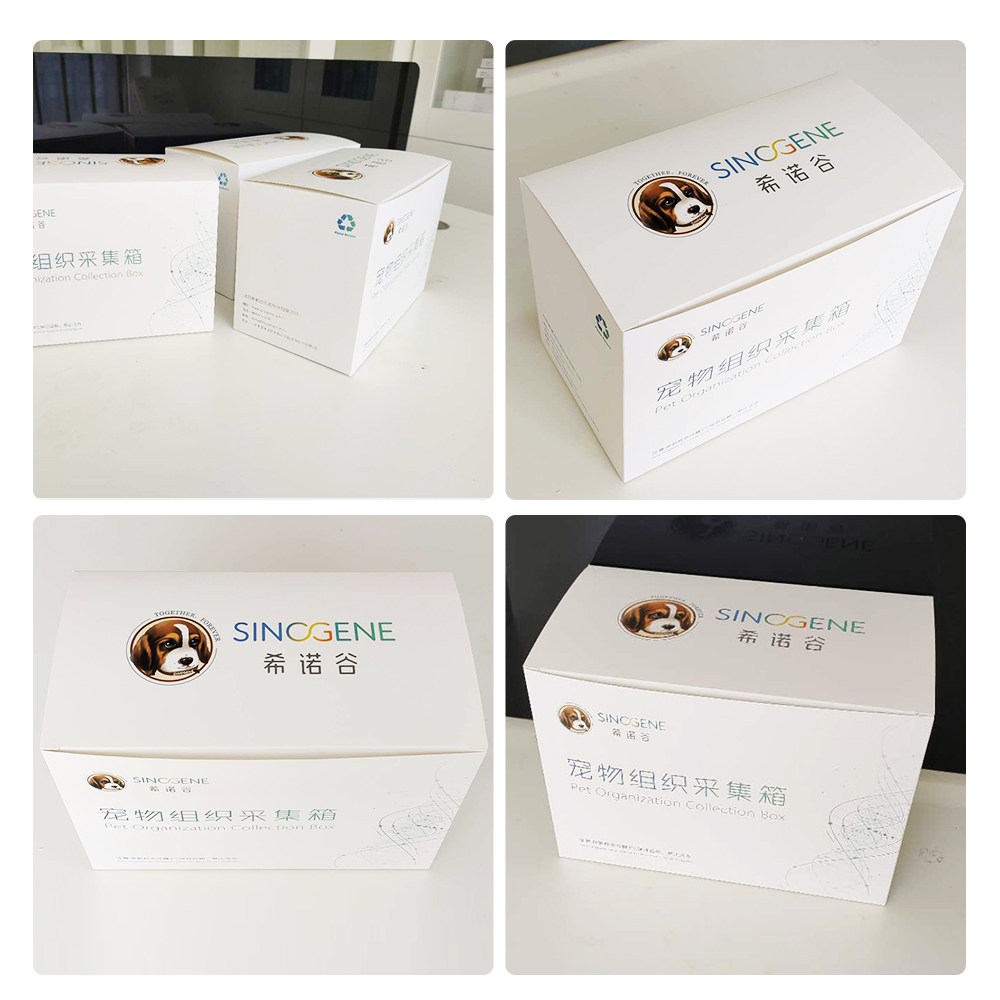 保存10年宠物猫狗克隆活体细胞皮肤取样建系冻存