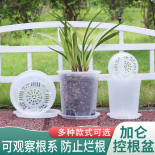 2024新款 透明蝴蝶透明控根青山加仑盆绿植花盆室内外盆栽兰花苗