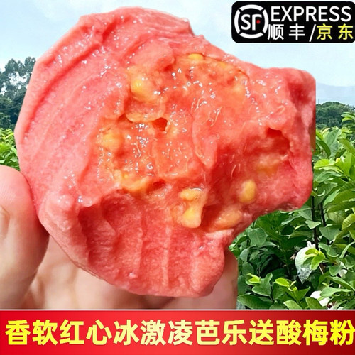 福建漳州应季香软红心芭乐低糖