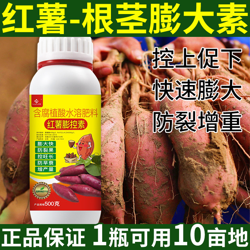 红薯专用地下根茎膨大素控旺膨大剂地瓜马铃薯叶面肥专用肥肥料