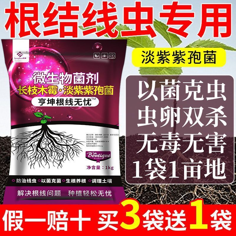 根结线虫专用药淡紫紫孢菌