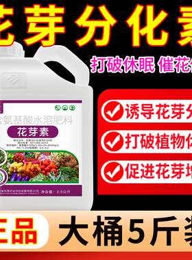 花芽分化素分化宝促进花芽分化诱导素分化剂促花催花座果灵叶面肥