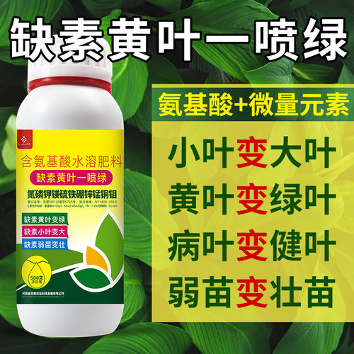 黄叶一喷绿氨基酸叶面肥