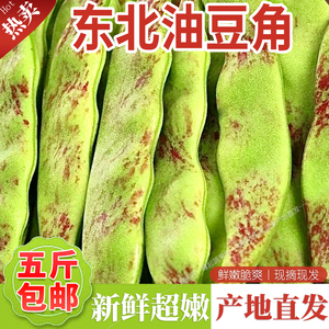 东北油豆角现摘新鲜蔬菜5斤一点红油豆角九月青脆嫩 开锅就烂整箱