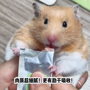 仓鼠营养泥增肥金丝熊鼠条营养泥长肉肉花枝鼠营养泥补钙美毛包邮
