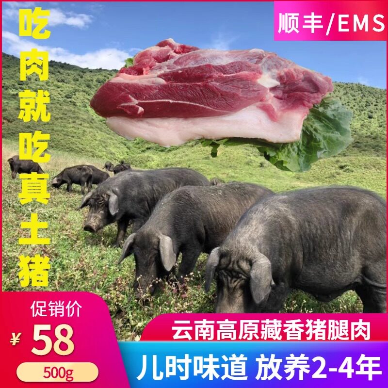 云南放山黑土猪前后腿肉新鲜高原藏香猪里脊肉梅花肉农家生态放养
