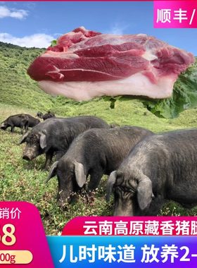 藏香猪云南新鲜后腿肉前腿梅花肉