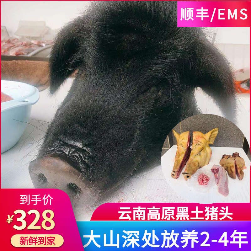 云南新鲜猪舌头藏香猪猪头整个