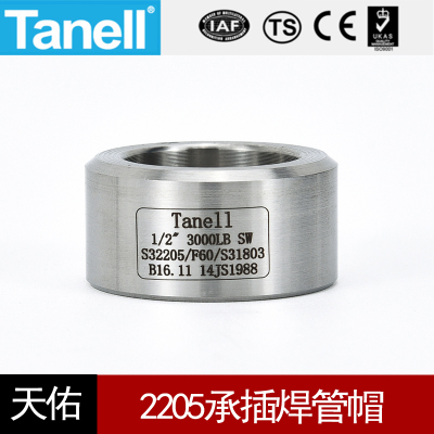 Tanell2205承插焊管帽