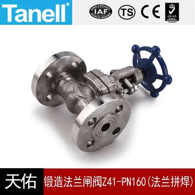法兰法兰闸阀tanell304316L