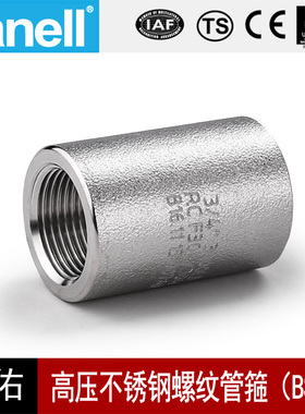 内丝管箍BSPT210KG高压管件3000LB锻304316L直通接头天佑管业1053