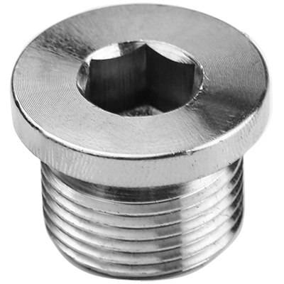 内六角带边堵头304tanell