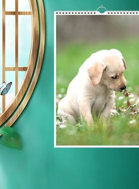 2026马年萌犬可掬商务年历挂历优质地域景点精致家用格子日制月历