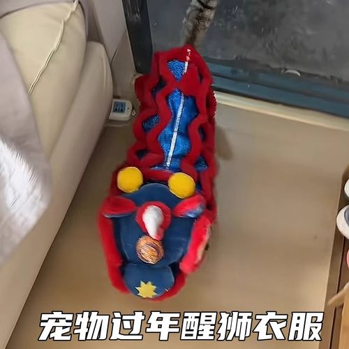 醒狮猫咪狗狗宠物衣服过年喜庆
