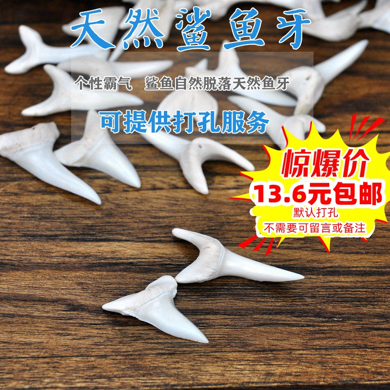 进口真鲨鱼大牙齿吊坠男女个性吊坠东南亚创意天然首饰品diy手工