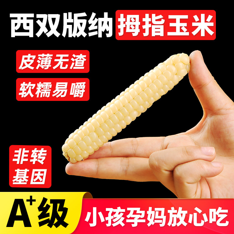 正宗西双版纳香糯拇指玉米手指小玉米新鲜真空儿童早餐2斤礼盒装,粮油调味/速食/干货/烘焙,玉米,淘宝优惠券,粉丝福利购,淘宝优惠卷