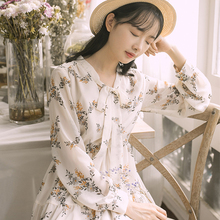 2019年新款 春秋长袖 冷淡裙子 秋冬碎花雪纺长裙子连衣裙初秋季 女装