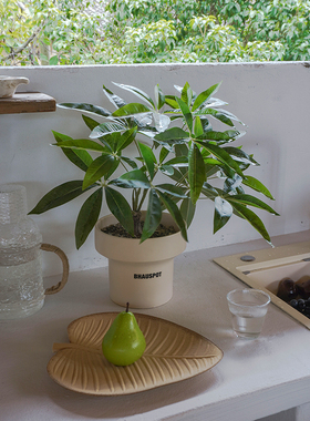 仿真绿植大叶伞家居摆件摆件