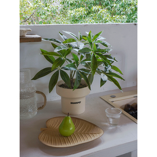 Na家花房仿真绿植大叶伞室内桌面摆件ins简约发财树小盆栽假植物