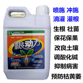 天赐宝根动力果蔬壮苗生根剂促根壮根有机肥料腐殖酸氨基酸水溶肥
