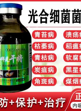 金拜克干将病害急救真菌细菌全治菌剂辣椒病害病毒炭疽枯黄萎白粉