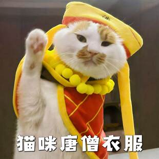 猫咪唐僧衣服cos袈裟宠物小衣服小型犬泰迪比熊斗篷披风拍照道具
