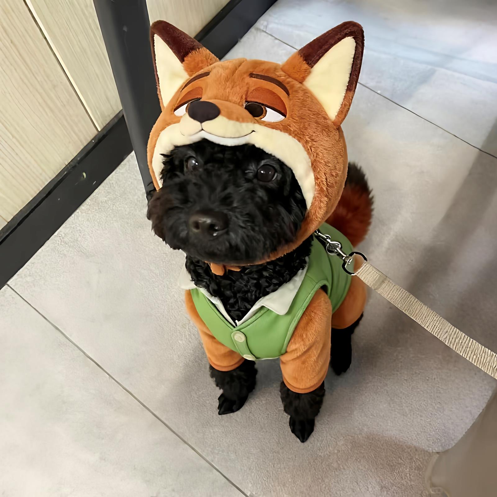 尼克朱迪狗狗衣服疯狂动