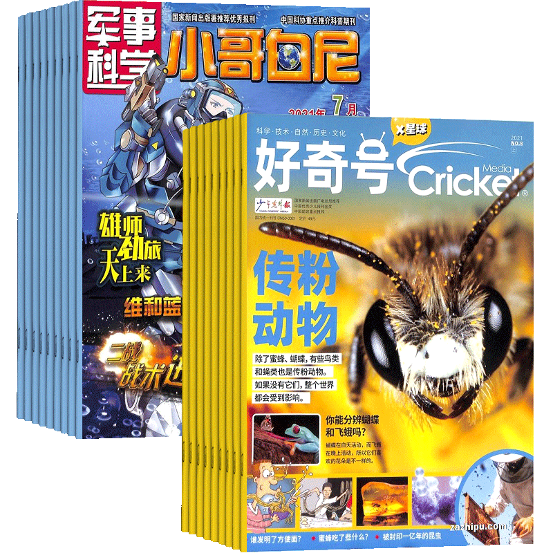 好奇号+小哥白尼军事科学画报