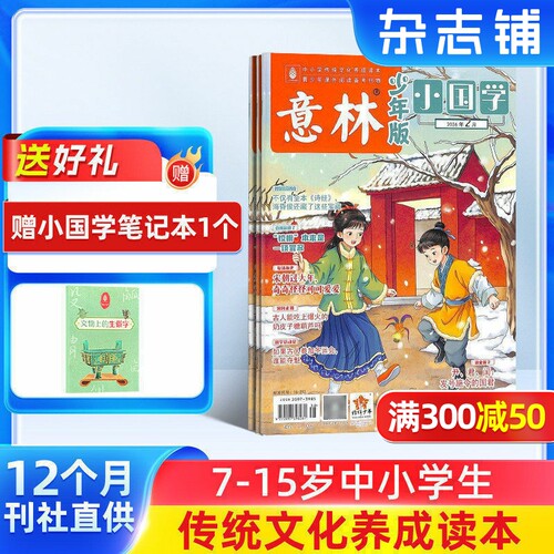 意林小国学杂志一年12期