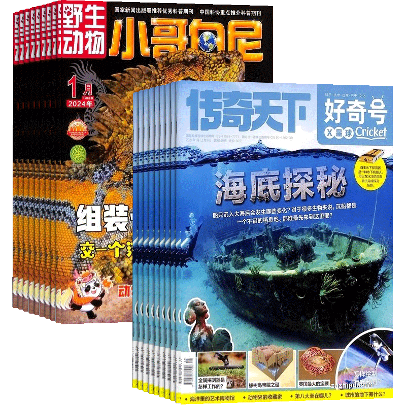 好奇号+小哥白尼野生动物画报