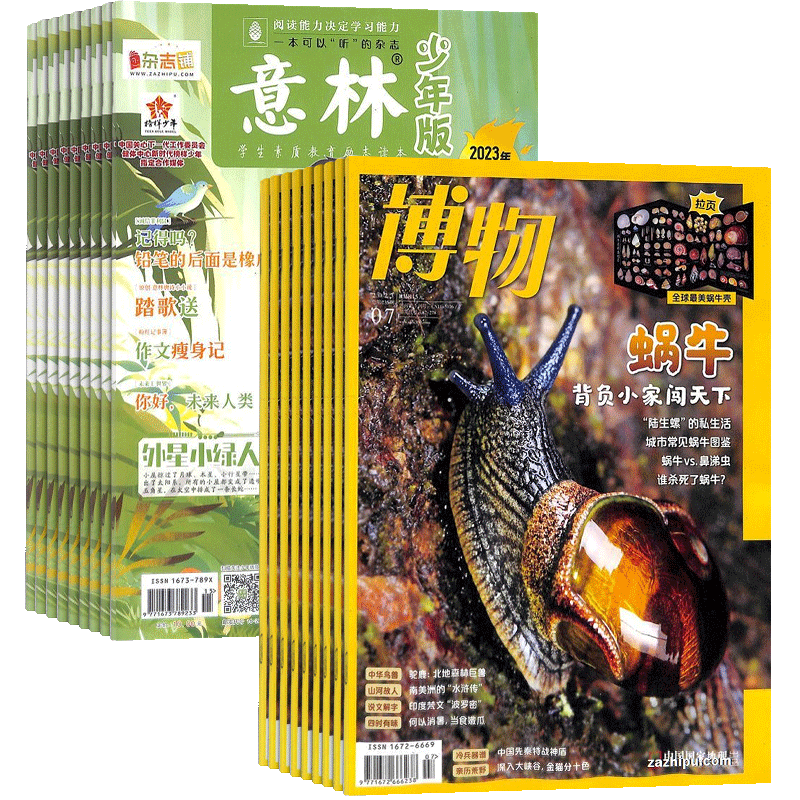 博物+意林少年版杂志组合 2026年五月起订1年共36期 杂志铺 全年订阅 历史哲学科普百科少儿科普中学生课外阅读期刊杂志
