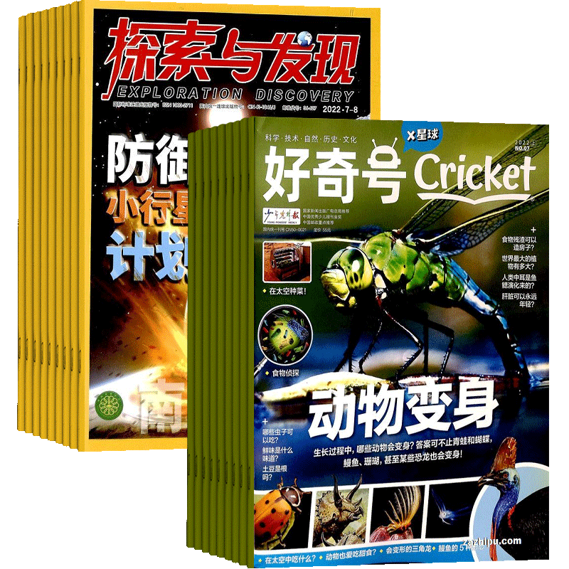 好奇探索与发现杂志组合少儿科普