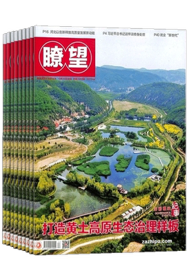 瞭望杂志政经大势前瞻