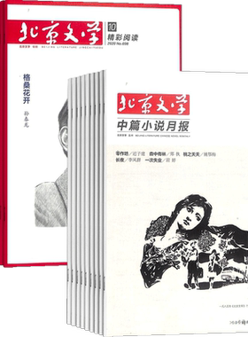 北京文学组合杂志订阅