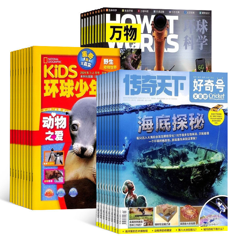 好奇号+环球少年地理+万物杂志组合 2026年1月起订 杂志铺 杂志订阅 科学历史少儿科普期